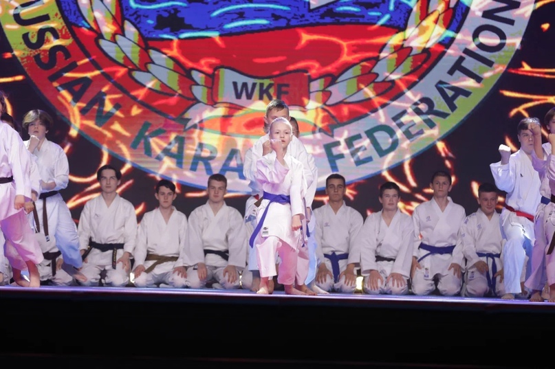 Прямую трансляцию Международного фестиваля боевых искусств посмотрели около 80 тысяч человек.