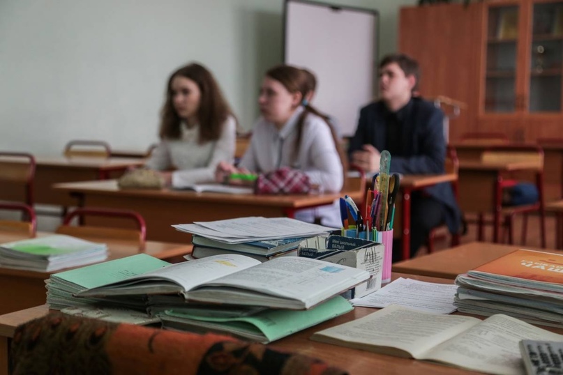 В школах Вологодской области откроют агроклассы и лесные классы..