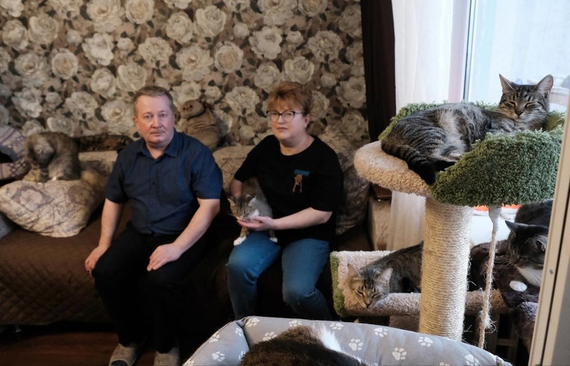 Аркадий Крамаренко и его жена Вера годами спасают бездомных кошек.