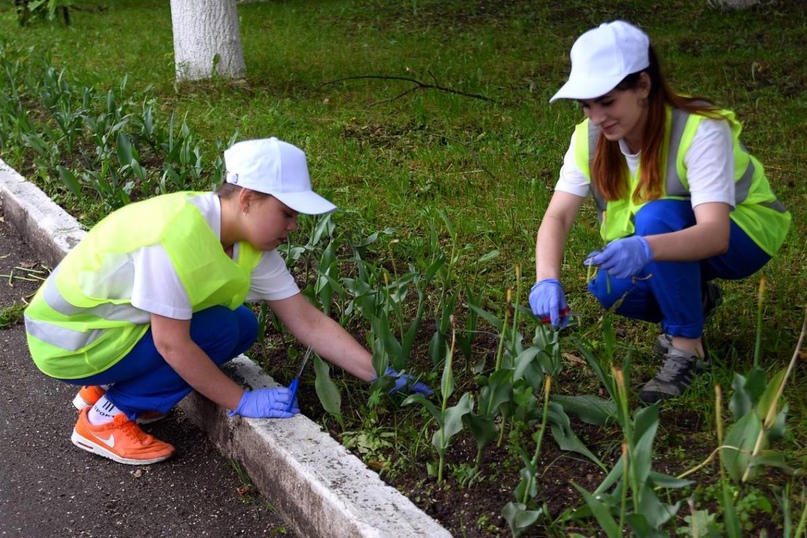 Более 1100 вакансий уже создано в Вологодской области для трудоустройства молодежи в летний период.